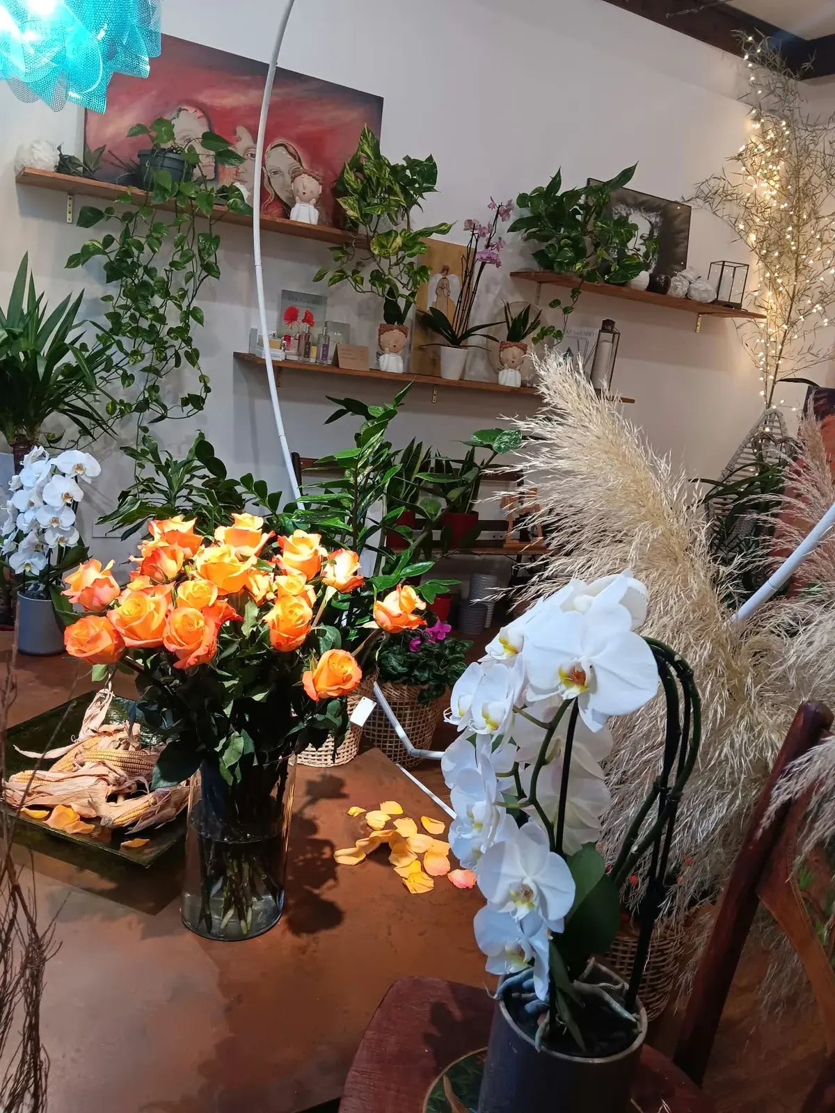 Fiori arancioni e piante nella bottega