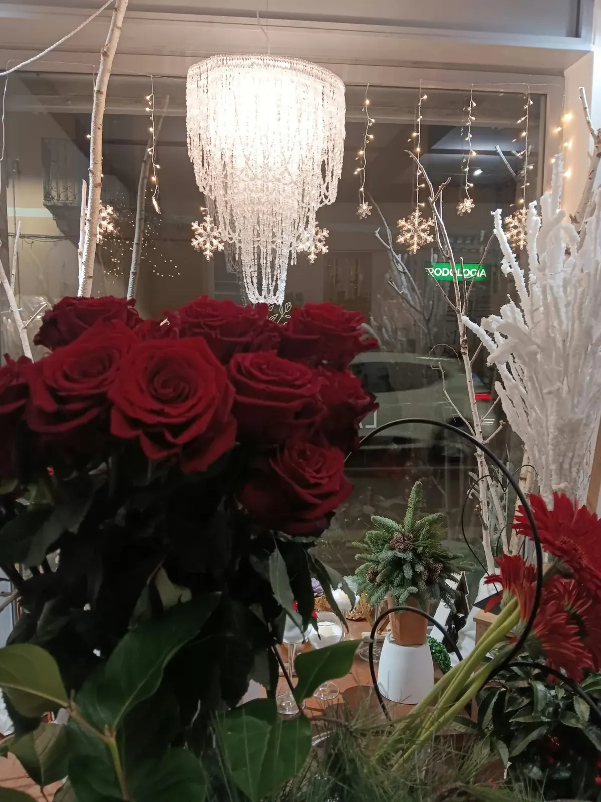 Rose rosse nella vetrina