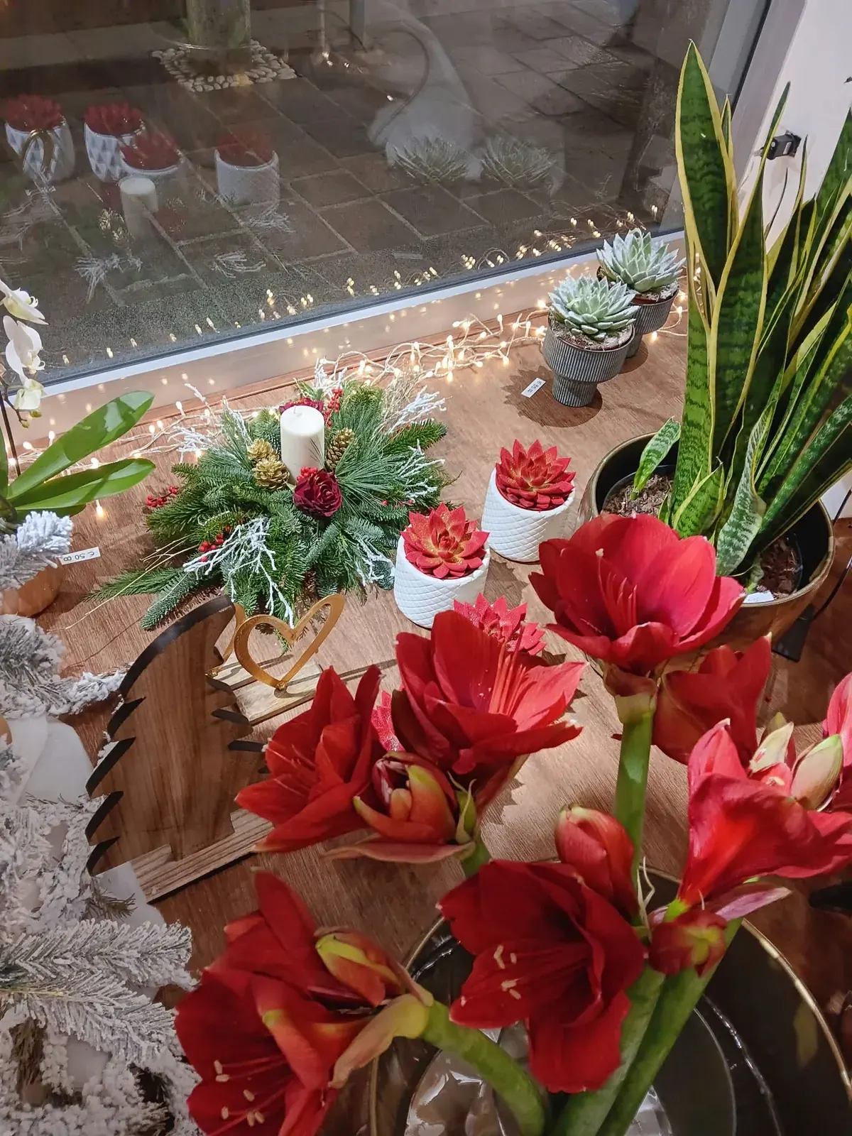 Rose rosse vicino alla vetrina